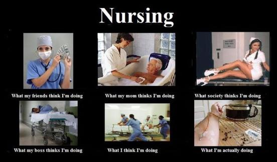 Nursing Humor - How to Survive Nursing School : University ...